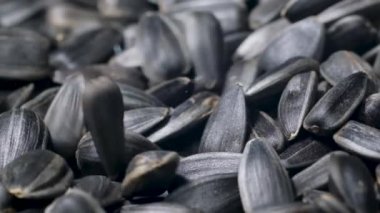 Yavaş çekimde ayçiçeği tohumları 240 fps hızla düşüyor. Ayçiçeği tohumlarının arkaplanı.