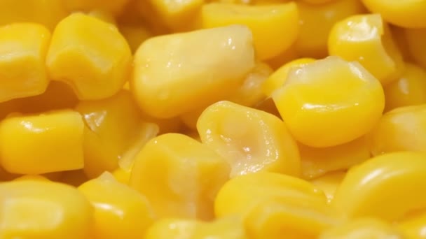 腌制的玉米种子以200 Fps的速度下降 玉米种子的背景 慢动作 — 图库视频影像
