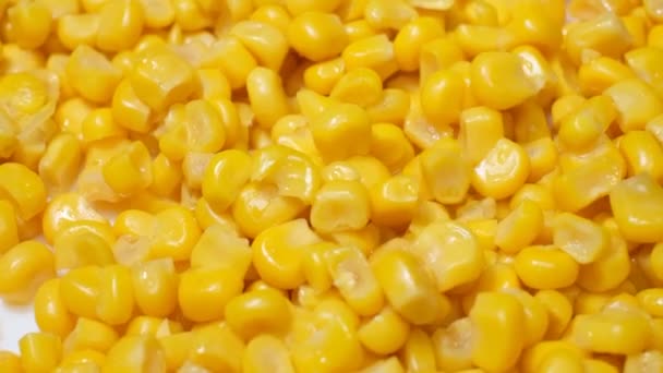 堆积如山的玉米核堆积如山 食物配料宏观射击 慢动作甜泡菜玉米特写 — 图库视频影像