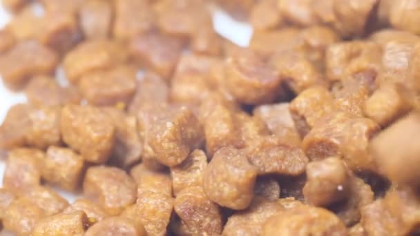 Μακρο Υγιεινών Ξηρών Τροφών Για Γάτες Περιστρεφόμενη Βάση Στεγνή Τροφή — Αρχείο Βίντεο