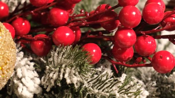 クローズアップ クリスマスツリー上の新年の装飾赤い果実 2023年とクリスマスの休日の概念 4Kビデオ — ストック動画