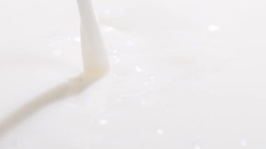 Taze soya sütü dök. Baloncuklarla süt akışını kapat.