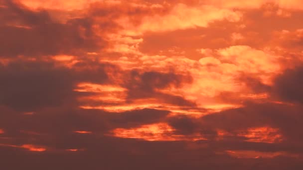 絵のように美しい夕日で壮大な濃いピンクの雲の景色 雲の急速な動き 時間の経過 4Kビデオ — ストック動画