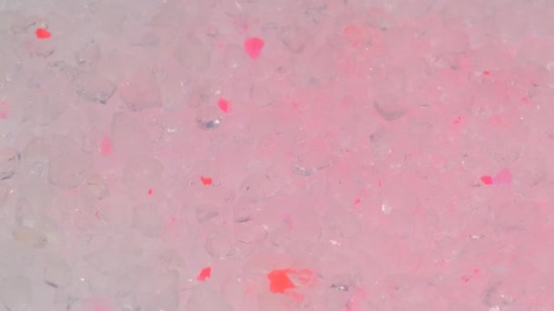Макрофотография Кошачий Туалет Ярко Розовый Фон Пылезащищенный Многоразовый Литровальный Фильтр — стоковое видео