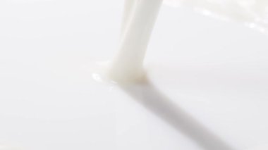 Beyaz arka plana taze inek sütü dökmek. Tam yiyecek, tam protein, kalsiyum kaynağı, magnezyum. Yavaş çekim