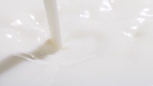조직적으로 우유를 천천히 붓는다 맛있는 젖소의 클로즈업 — 비디오