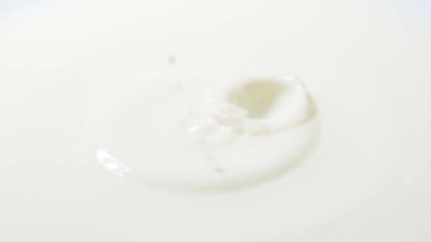 Ein Tropfen Kuhmilch Fällt Ein Glas Aus Nächster Nähe Milch — Stockvideo