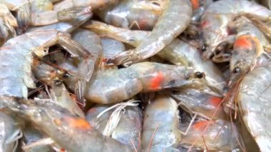 Fresh shrimp in the fresh market or supermarket cool shrimp.Close up of various kind of raw shrimps in fresh market.