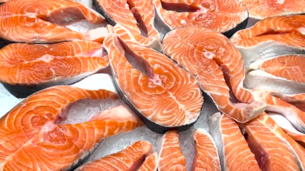 Chilled Red Fish Steaks Laid Out Store Counter — Stock videók