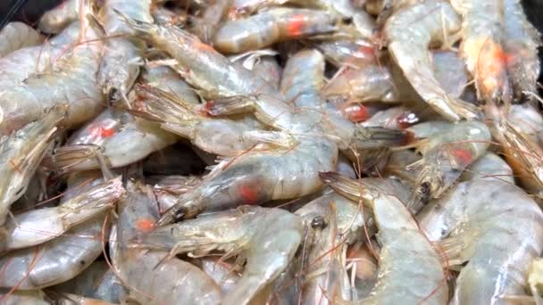 Fresh Raw Shrimp Fish Market Healthy Food Sea Ocean Animals — Stockvideo