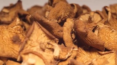 Close-up of dried porcini mushrooms rotating. Dry porcini mushrooms porcini mushrooms in slices. 4k video