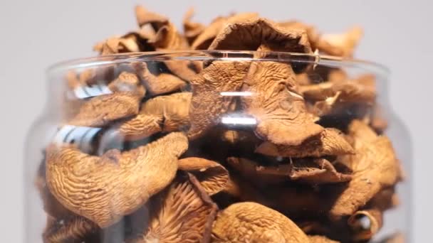 Close Jar Dried Mushrooms Organically Pure Mushrooms Collected Forest Vegan — Stockvideo