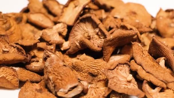 Dried Forest Mushrooms Rotate Plate Vegan Food — Vídeo de stock