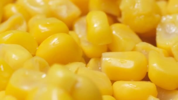 大杯煮熟的玉米种子 大量的玉米粒 — 图库视频影像