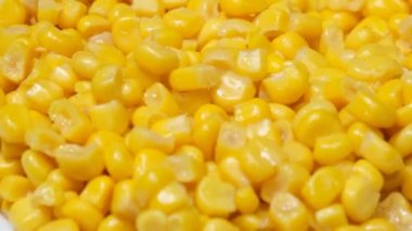 Macro shot of boiled corn seeds. Macro. A large number of corn kernels. Rotation