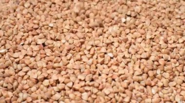 Macro video of a pile of raw buckwheat groats. Rotation in a circle. Useful cereals. Pour groats.
