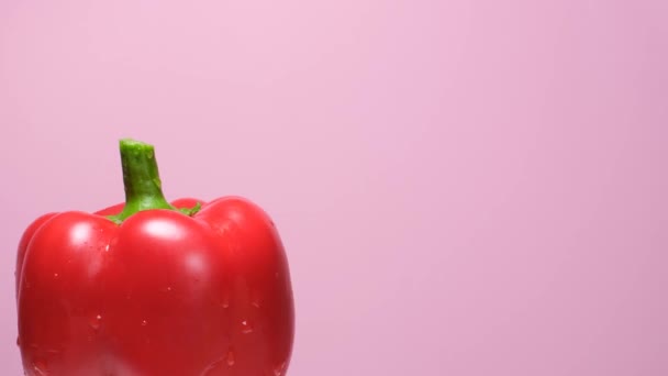 Fresh Juicy Red Bell Pepper Pink Background Macro Rotation Vegetarian — Stock video