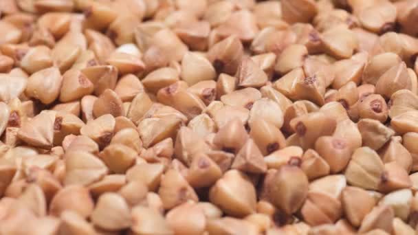 Close Raw Buckwheat Groats Buckwheat Groats Agricultural Crops Useful Cereals — Vídeo de stock