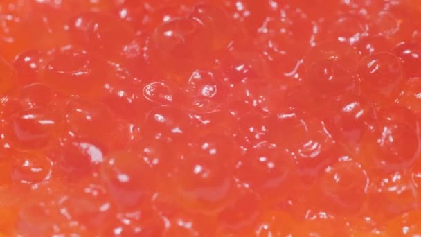 Delicious Red Caviar Close Ocean Food Delicacy Expensive Food Healthy — Vídeo de Stock