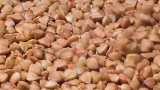 Macro Video Pile Raw Buckwheat Groats Rotation Circle Useful Cereals — Stockvideo