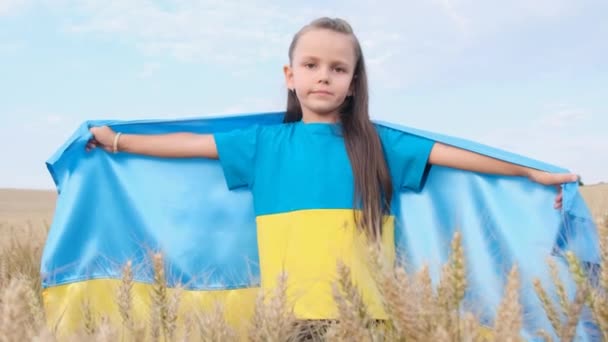 Ukrainian Child Wheat Field Blue Yellow Flag Ukraine Ukraines Victory — Stock videók