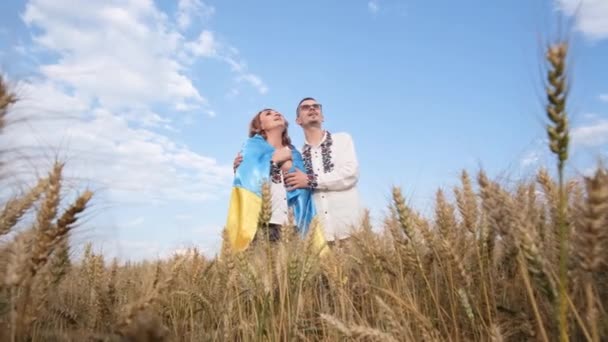 Семья Украинским Флагом Поет Государственный Гимн Посреди Пшеничного Поля День — стоковое видео
