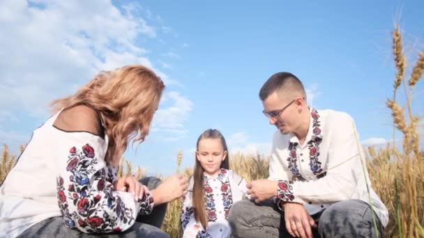 Ukrainian Family Wheat Field Traditional National Clothes Vyshyvanka Happy Family — Vídeo de Stock
