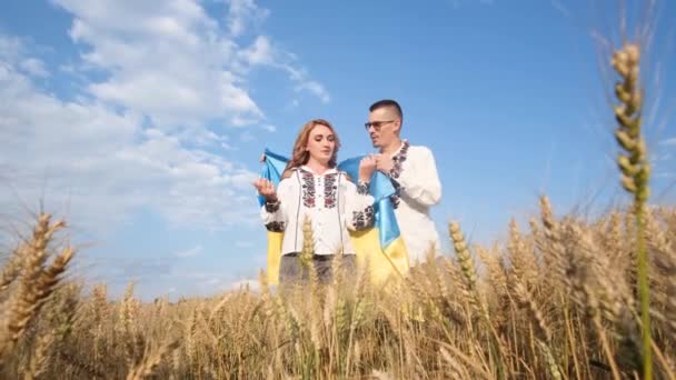 Beautiful Ukrainian Couple Embroidered Shirts Flag Middle Wheat Field Ukrainian — Stockvideo