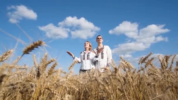 Family Embroidered Dresses Sings National Anthem Ukraine Middle Wheat Field — Stockvideo