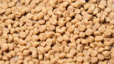 There is a lot of cat food on the plate. Rotation in a circle. Macro video.