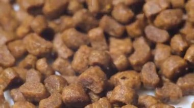 Spilling cat food in a pile. Brown fodder for animals. A lot of food