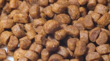 Close-up of a large amount of brown cat or dog food. Rotation in a circle. Macro video. Food for animals