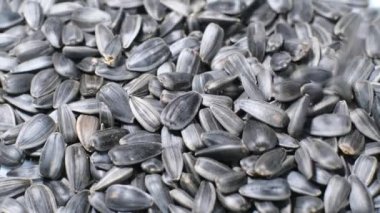 Close-up of black sunflower seeds. Rotation in a circle. Useful seeds