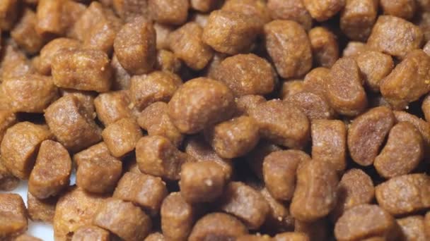 Close Large Amount Brown Cat Dog Food Rotation Circle Macro — Stok video