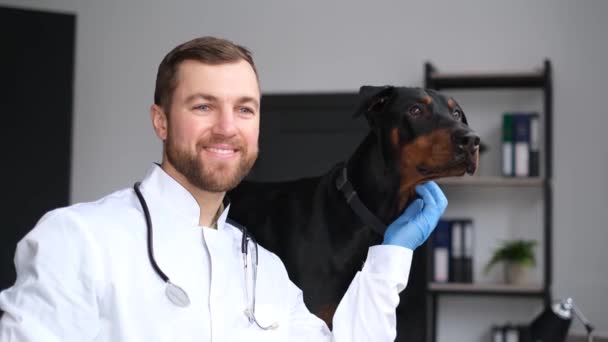Portrait Handsome Veterinarian Large Black Dog Modern Veterinary Office Love — Stockvideo