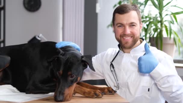 Portrait Atraktif Veterinarian Looking Camera Examination Veterinary Clinic Dokter Hewan — Stok Video