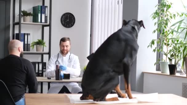 Великий Домашній Собака Столі Ветеринара Собака Його Власник Ветеринарній Клініці — стокове відео