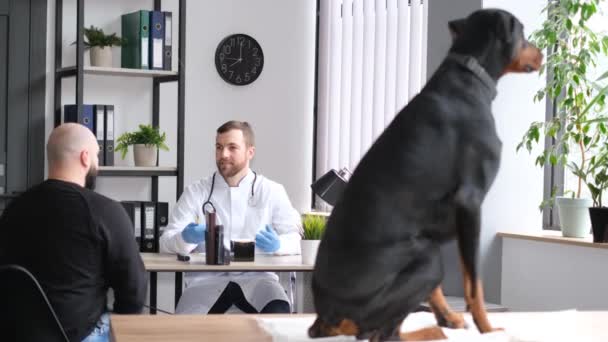 Large Thoroughbred Dog Modern Veterinary Clinic Dog Owner Veterinarian — Vídeo de Stock