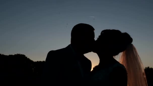 Black Silhouette Two Lovers Newlyweds Sunset Bride Wedding Dress Kisses — Video