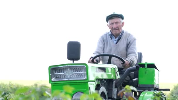 Antiguo Granjero Gris Positivo Seguro Mismo Sentado Tractor Propio Jardín — Vídeo de stock