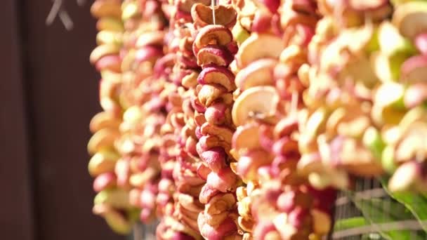 Colored Dried Apples Hang Laces Apple Lozenge Drying Apples Vitamins — Vídeo de Stock