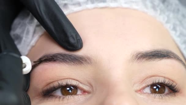 美容室で眉の着色手順 マスターの手は 現代的な装置の助けを借りて若い美しい少女の眉毛をペイントします 現代の化粧品技術 — ストック動画