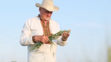 An elegant old Ukrainian peasant is holding young sprouts of wheat in the middle of a field. A happy and satisfied farmer against the background of the blue sky.