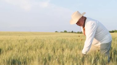 An old retired farmer in a nice embroidered house in the middle of a wheat field. Barley field, rye field. Agricultural crops of Ukraine