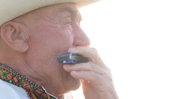 Vídeo Cerca Anciano Solitario Sentado Medio Campo Tocando Órgano Abuelo — Vídeos de Stock
