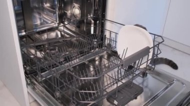 A woman is loading dirty dishes into a dishwasher, an open door reveals a built-in dishwasher, and dishes are being loaded with dishwashing capsules.