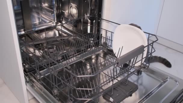 女性が食器洗い機に汚れた皿を積み込み ドアを開けて食器洗い機を明らかにし 食器洗い機カプセルで料理がロードされています — ストック動画