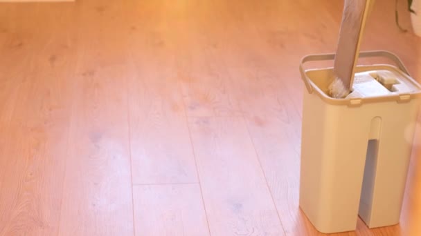 Reinigung Des Bodens Von Staub Mit Einem Handwischer Zum Waschen — Stockvideo
