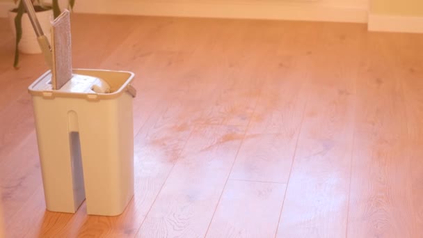 Mokre Czyszczenie Mopem Rąk Sprzątam Pokój Kurzu Sprzątanie Domu — Wideo stockowe