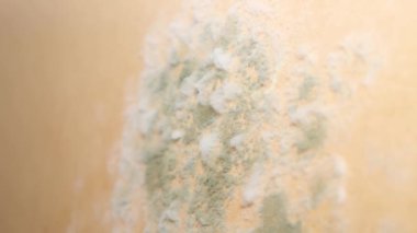 Black and white mushroom spots on wood veneer cabinet furniture after flood, close-up selective focus. The problem of dampness in the house